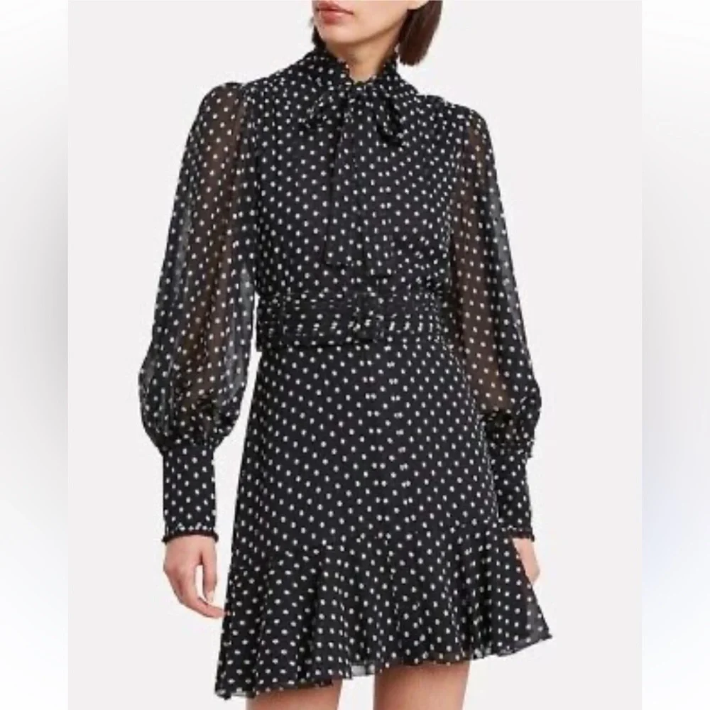 Alexis Polka Dot Dress - Picture 1 of 6